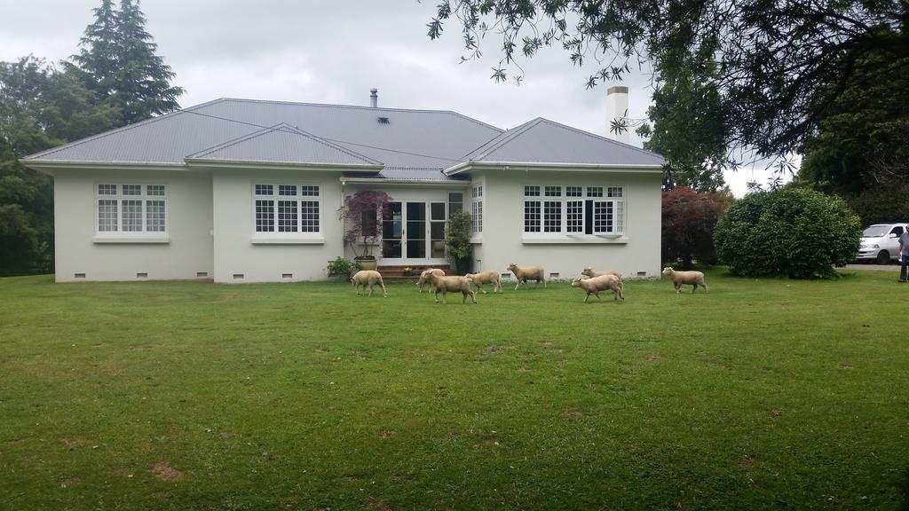 Homestead B&B Cambridge Εξωτερικό φωτογραφία