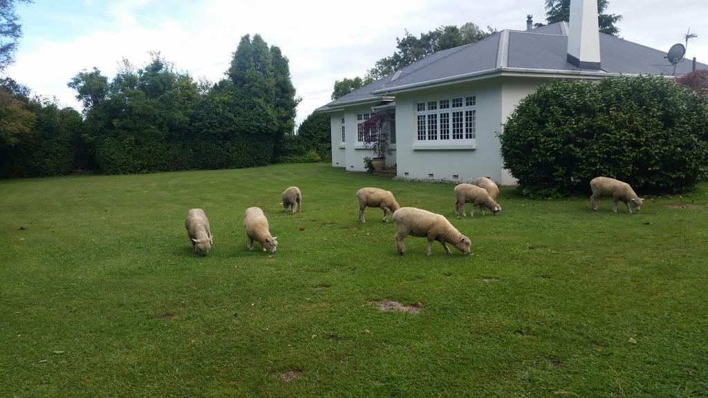 Homestead B&B Cambridge Εξωτερικό φωτογραφία