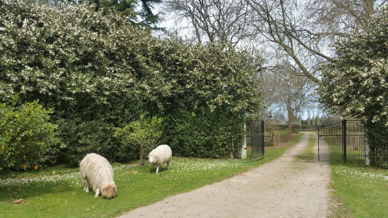 Homestead B&B Cambridge Εξωτερικό φωτογραφία